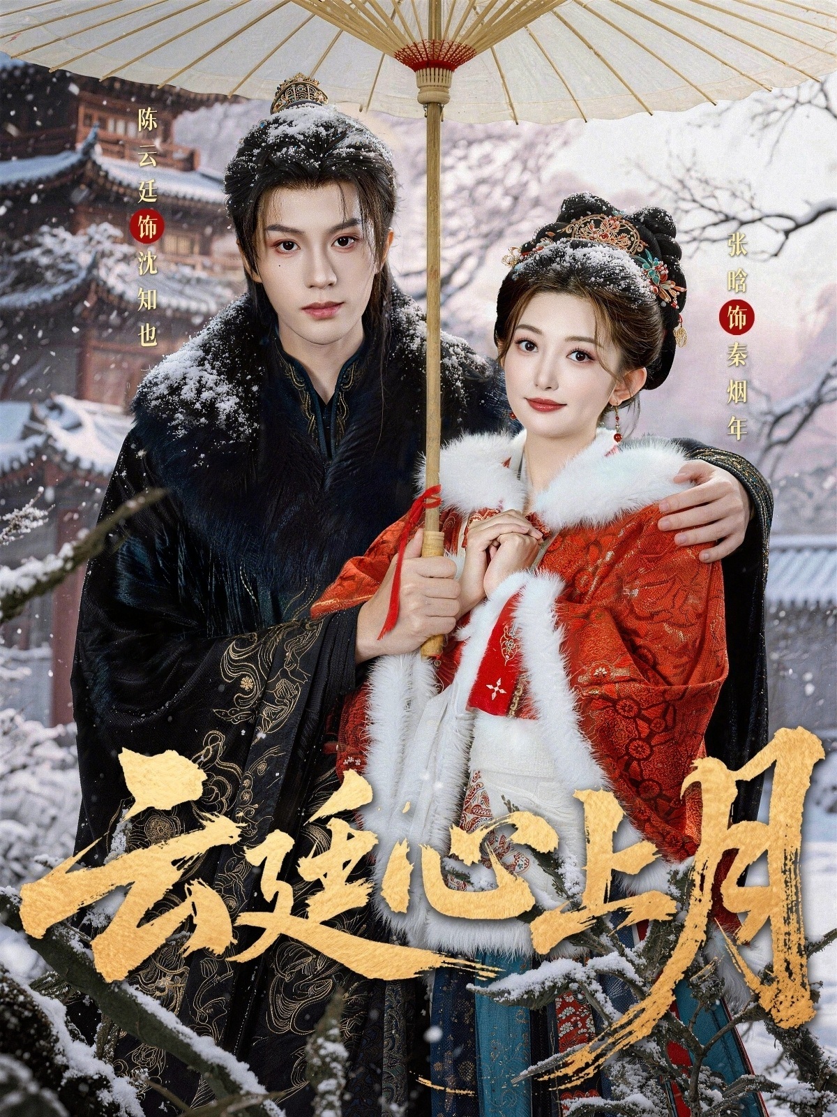 云廷心上月(全集)