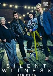 无声的证言 第二十九季